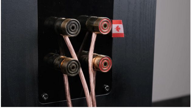 connect one pair of wires to the left channel speaker's