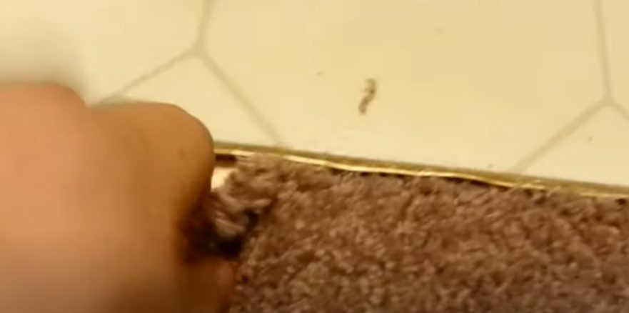pulling the carpet