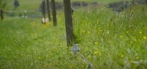 How to Test an Electric Fence With a Multimeter (8 Steps)  