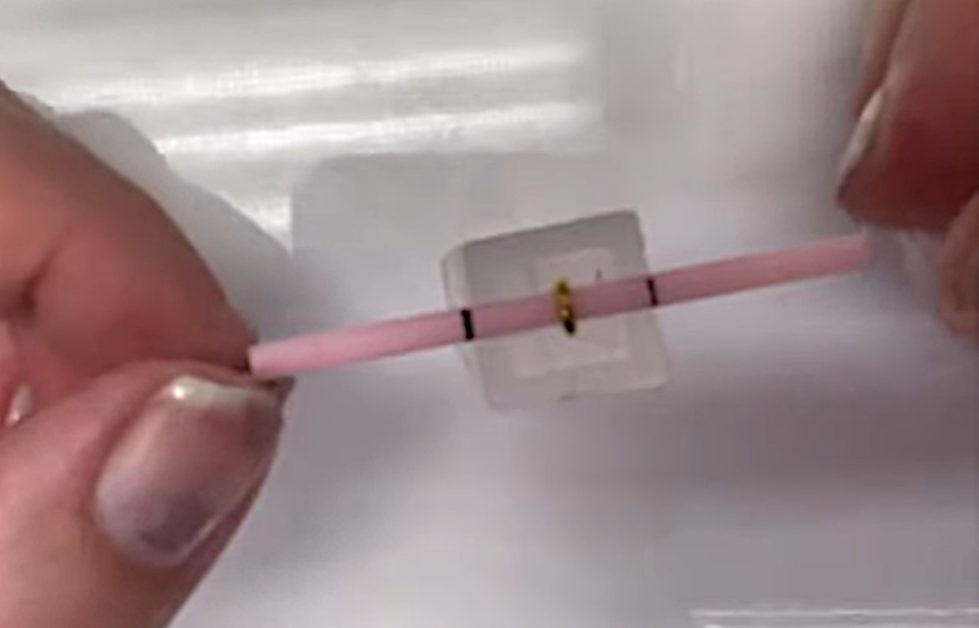 eyelet screw with a toothpick through it