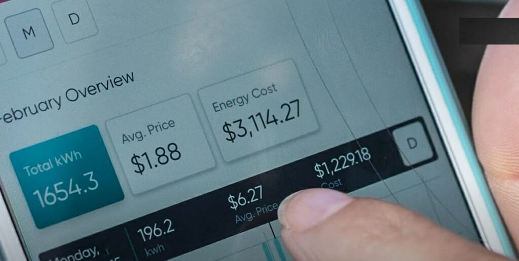 Am I Paying for My Neighbor Electricity?