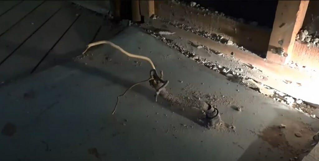 cleaning the area where there's wire