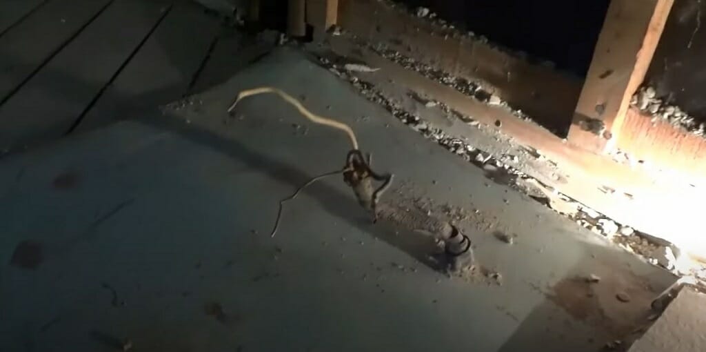identifying wires