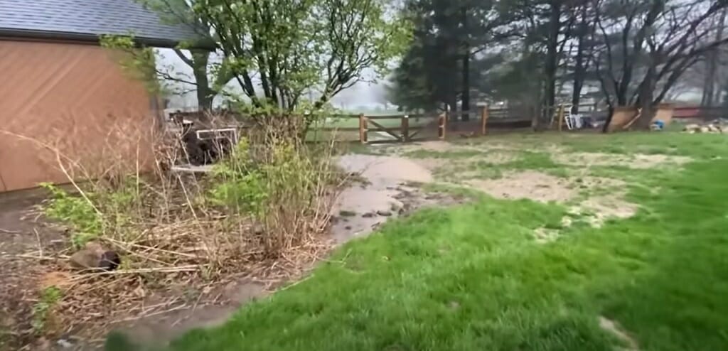 a backyard
