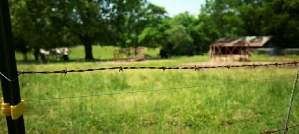 Thread the wire between the plastic hooks