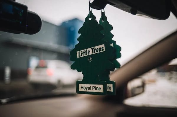 Little trees car air freshener