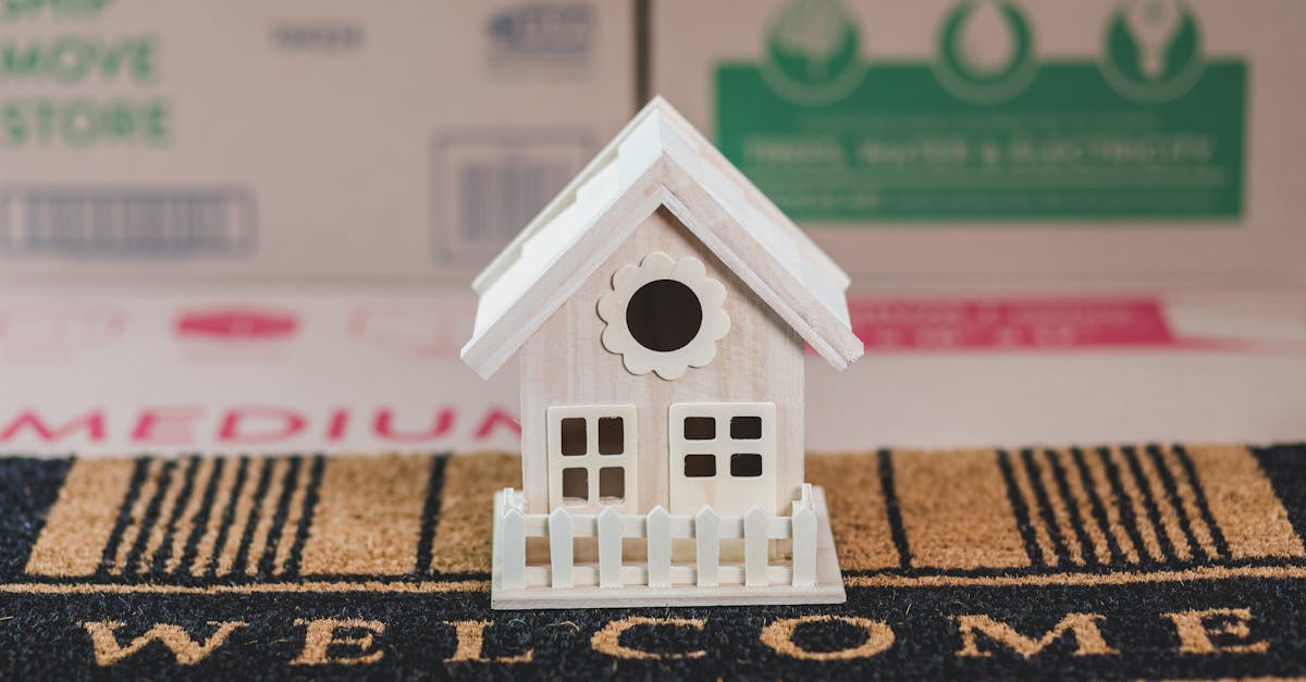 A small wooden birdhouse sits on a welcome mat, with cardboard moving boxes in the background.