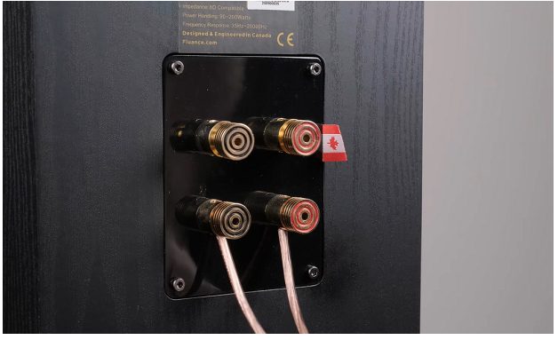connect one pair of speaker wires