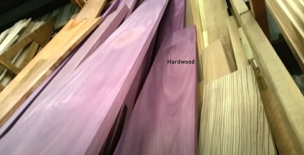 softwood and hardwood