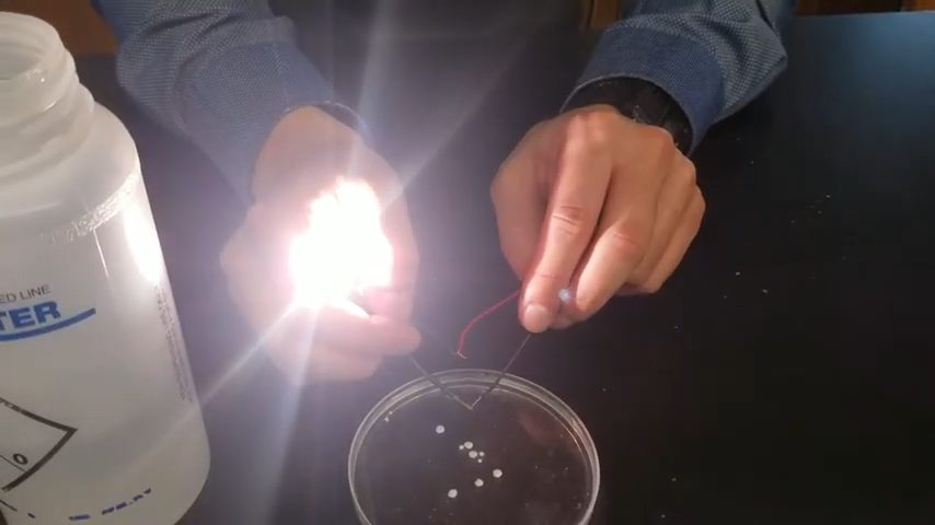 bulb switch on after testing calcium-chloride