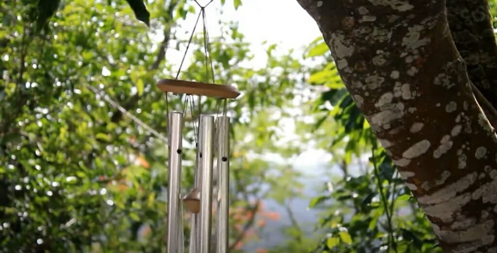 hanging the wind chime on a tree branch