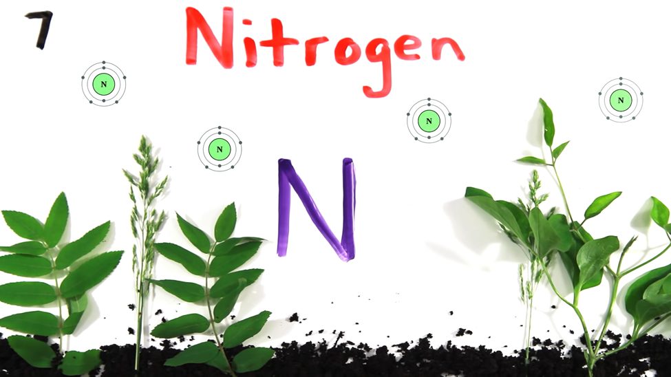 nitrogen element