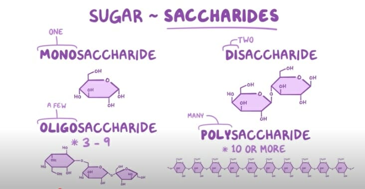 sugar saccharides