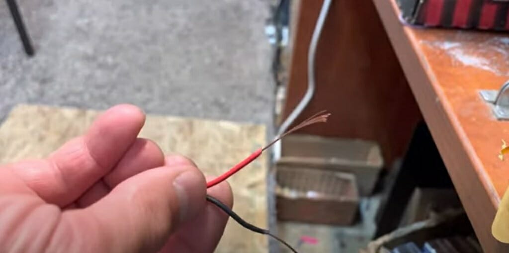 strip the other end of the speaker wire