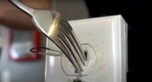 What Happens When You Stick a Fork in an Outlet?