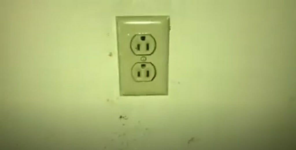 a wall outlet with bugs inside it
