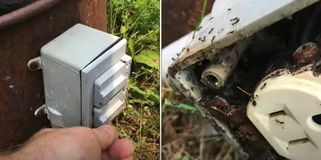 an outdoor outlet with bugs living on it