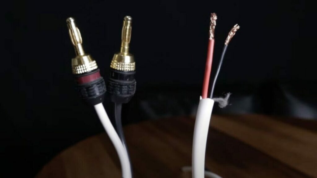 speaker wires with plugs and stripped wires