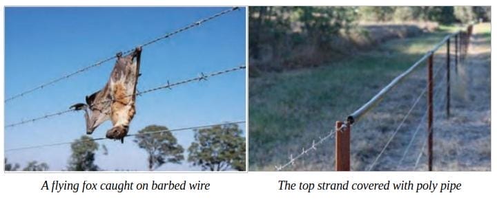 A picture of a barbed wire fence and a picture of a wire fence