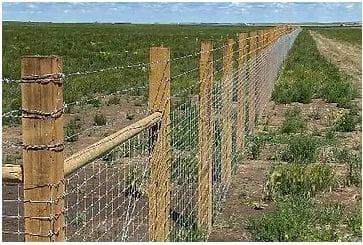 A barbed wire fence built in the middle of a field