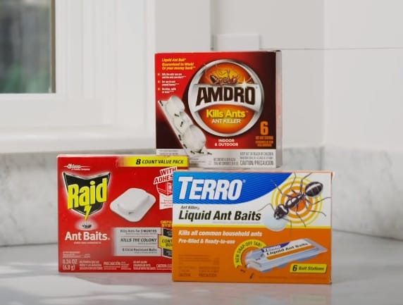 Three boxes of pest control products sit on a counter