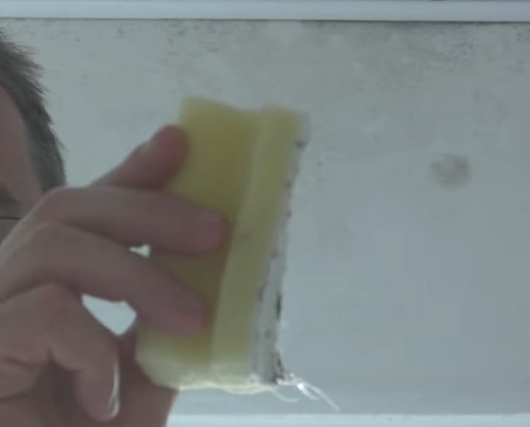 A person holding a yellow sponge with mold from the wall