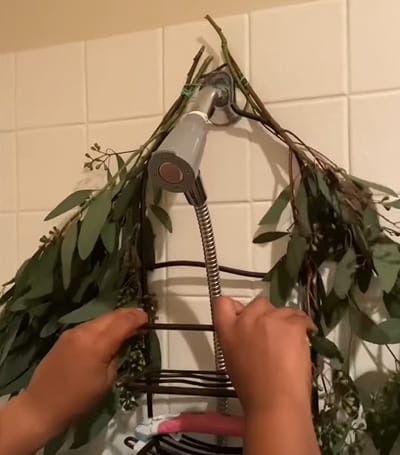 A person putting a eucalyptus plant leaves at the top of the shower