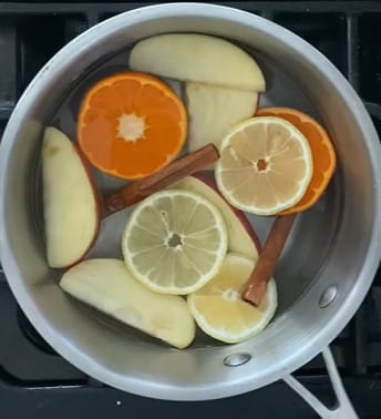 Fresh orange slices and cinnamon simmering in a pot on the stove
