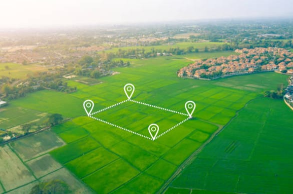 An aerial view of a rice field with a white arrow map