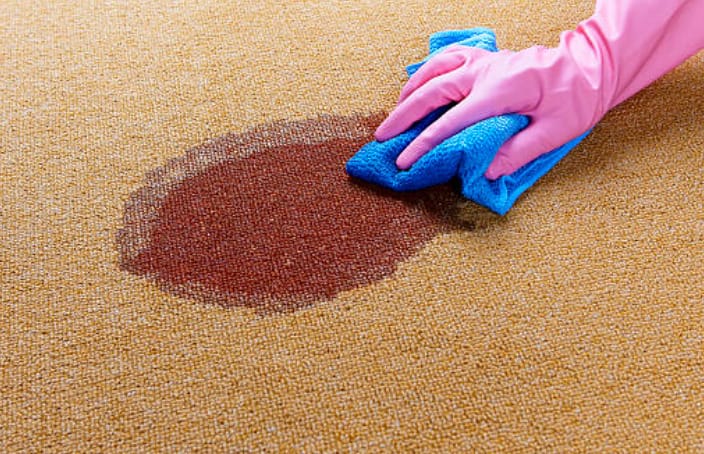 A person wearing pink gloves cleaning the stained carpets with blue clothe