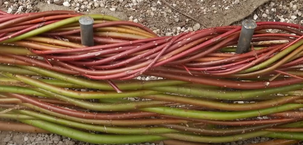 A bunch of green, red, and orange tangled wires on the ground
