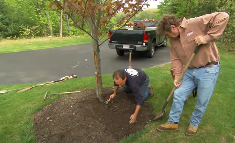 Two men landscaping a yard