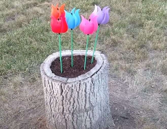 A plastic flowers of colors red, blue, pink, and purple planted at a cut tree