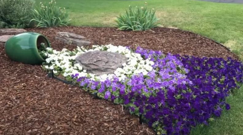 A DIY flower bed in the yard with purple and white flowers perfect for landscaping