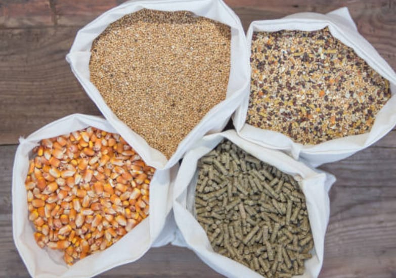 Bags of different types of grains