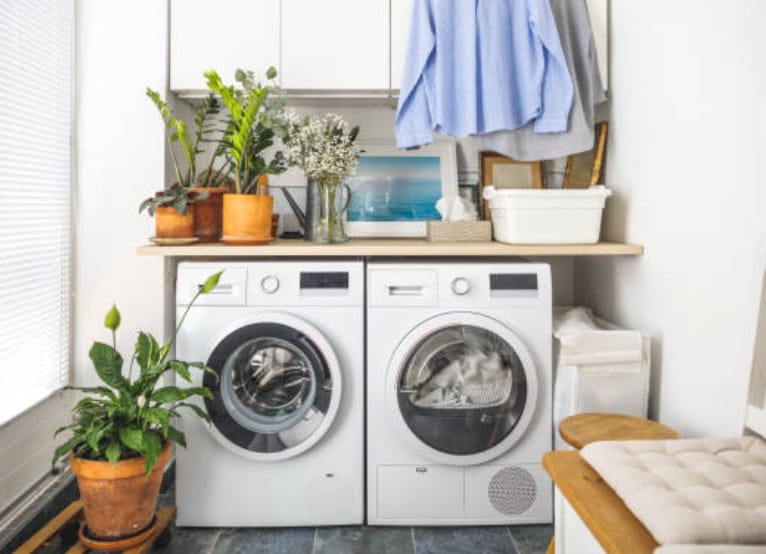 A laundry room with a washer, dryer and indoor plants