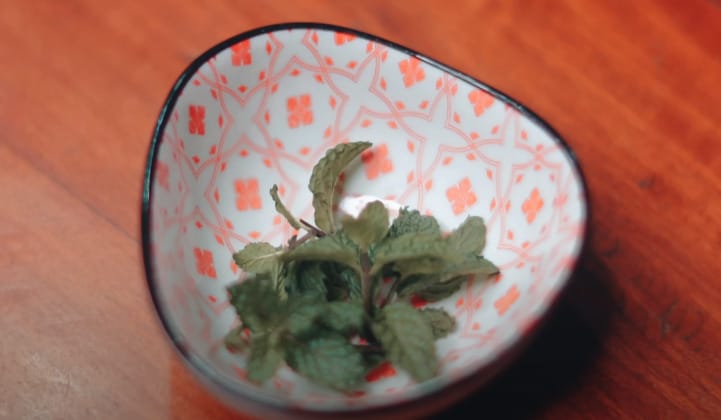 A peppermint leaf on a printed bowl
