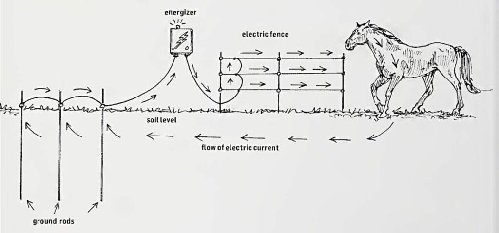 A diagram featuring a horse and an electric fence