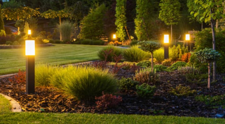 A series of outdoor lighting fixtures illuminate a garden at night