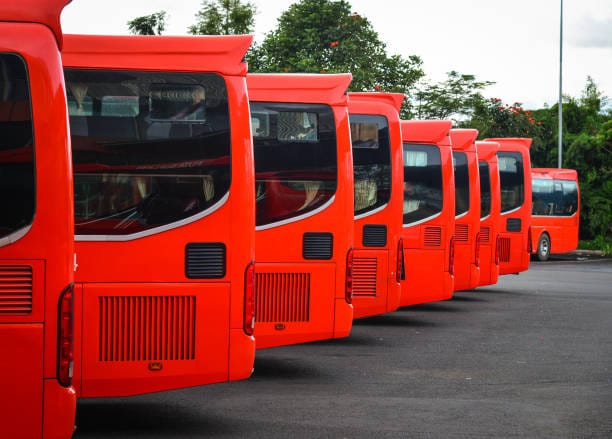 A row of red buses parked in a parking lot