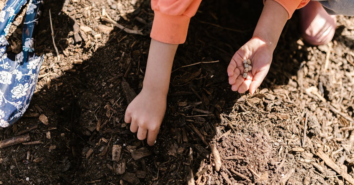 a kid planting seeds on the ground