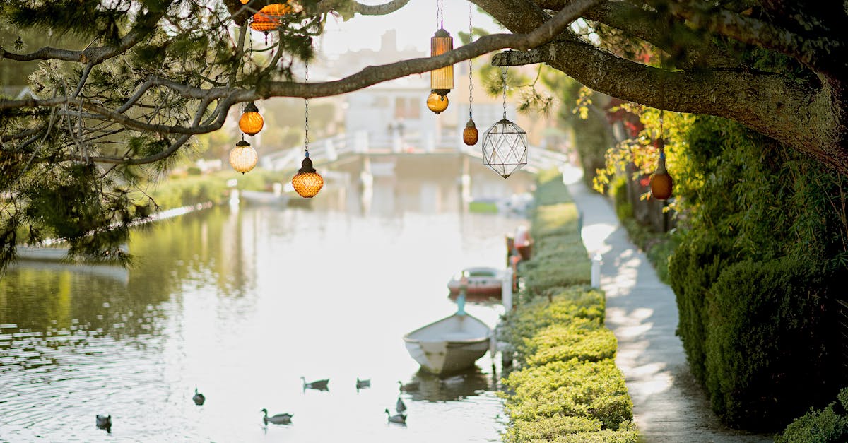 brown pendant lamp hanging on tree near river