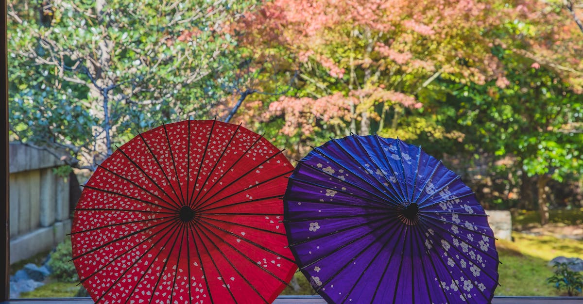 japanese umbrellas on floor near forest in autumn
