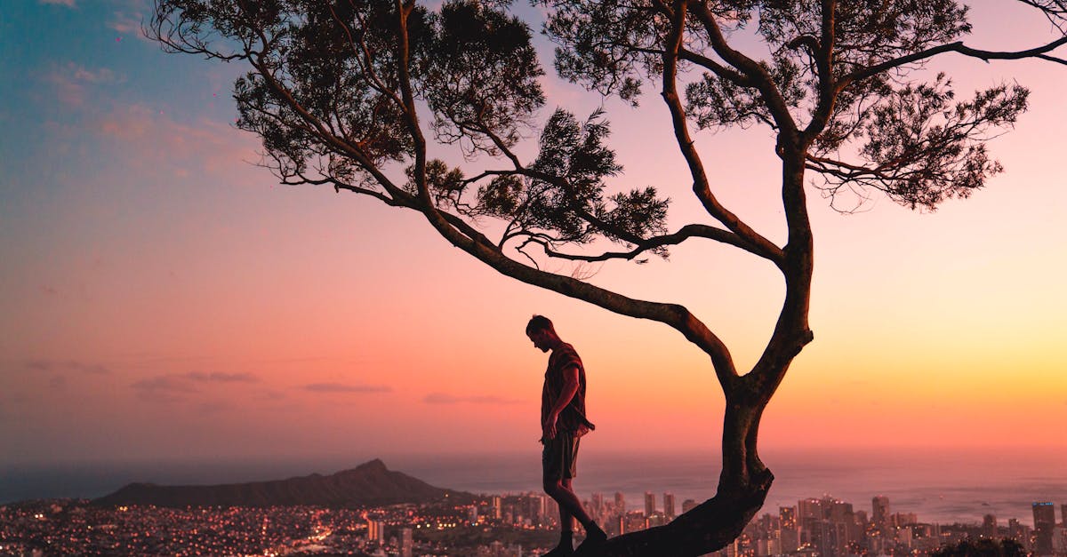 man standing on tree branch during sunset