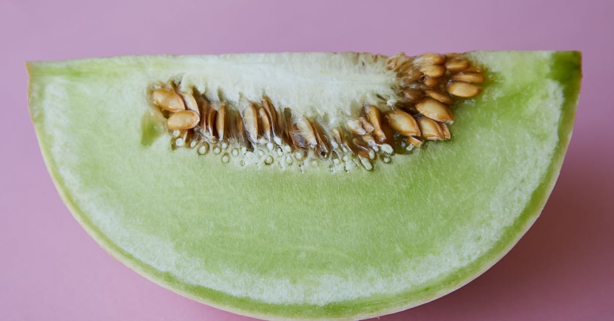 piece of fresh juicy melon with seeds