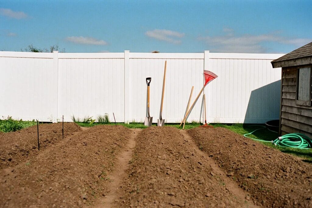 image 3 55